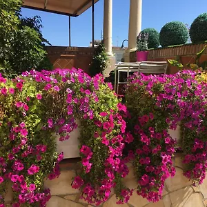 With Private Patio Apartment